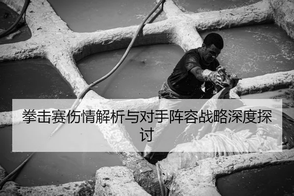 拳击赛伤情解析与对手阵容战略深度探讨